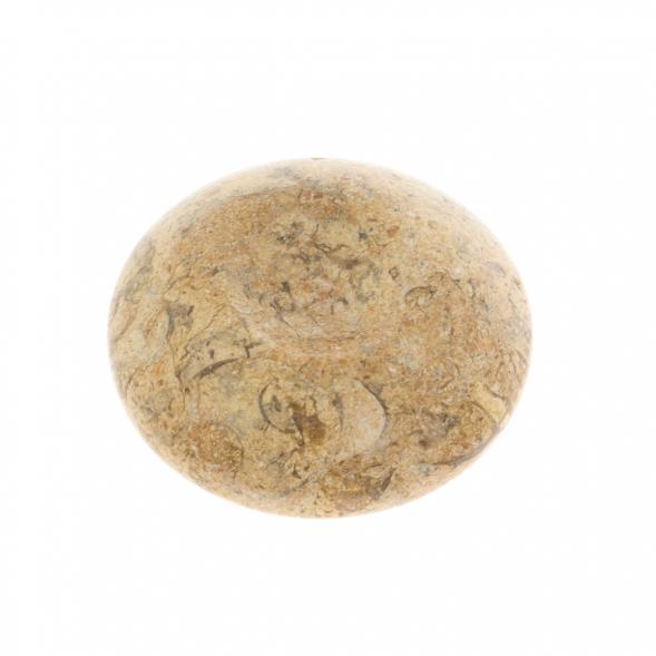 Подставка под шар/яйцо из ракушечника 5х5х1 см (2) 129739